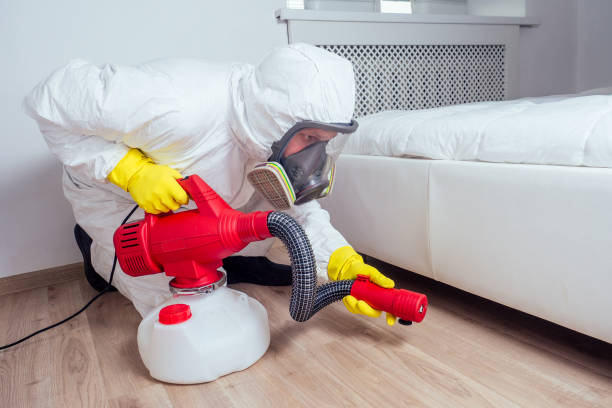 Best Local Pest Control Services  in Untain Grove, MO