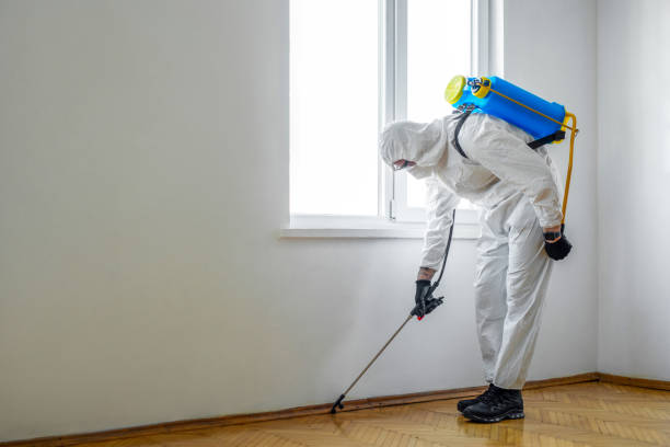 Best Affordable Pest Control Services  in Untain Grove, MO